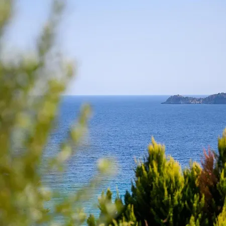 Vue Sur La *